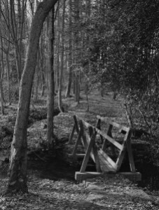 woodland_bridge_scan00622